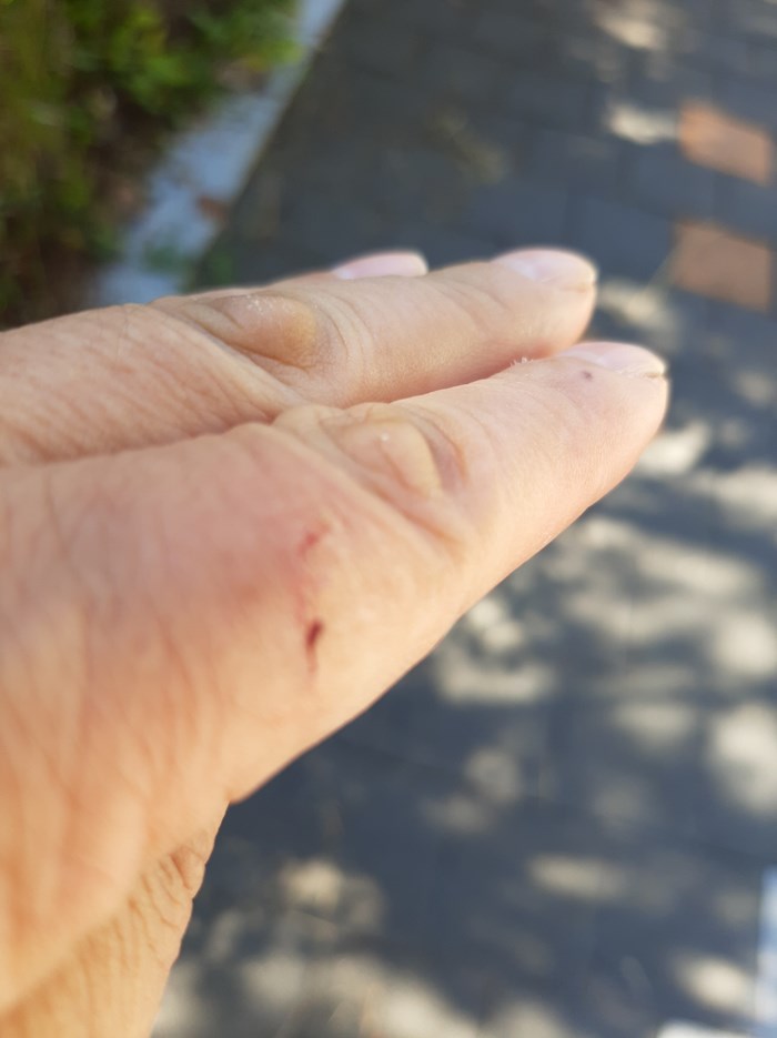 3.도립공원 내 시설 관리 미흡